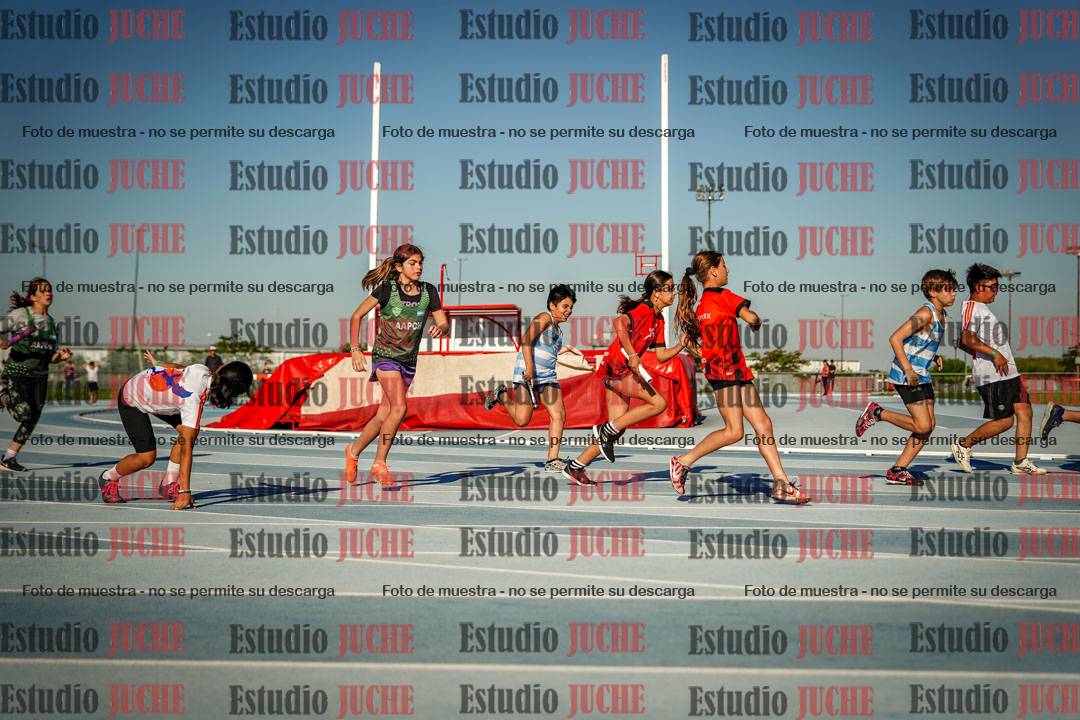 Fotos de las Postas 4x50 m de mujeres y varones