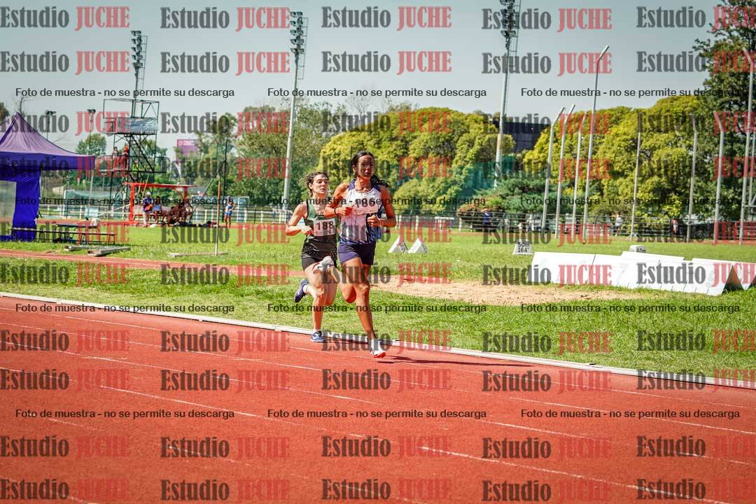 Fotos de los 800 m llanos de mujeres