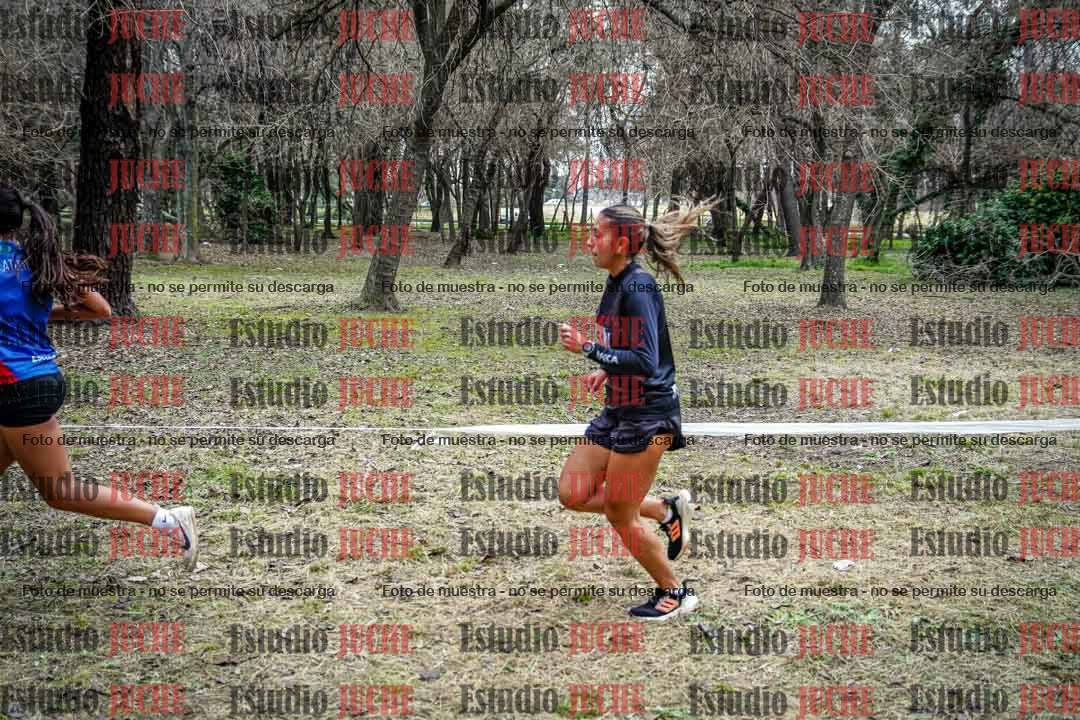 Fotos en el circuito