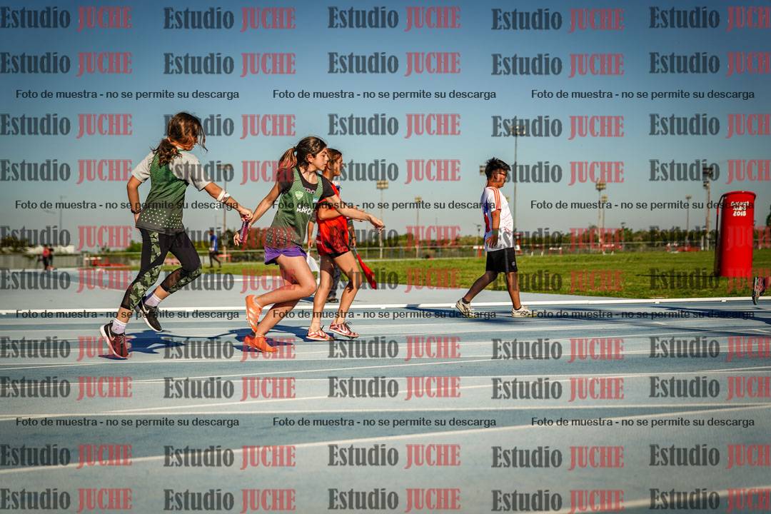 Fotos de las Postas 4x50 m de mujeres y varones