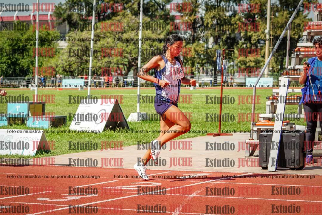 Fotos de los 800 m llanos de mujeres