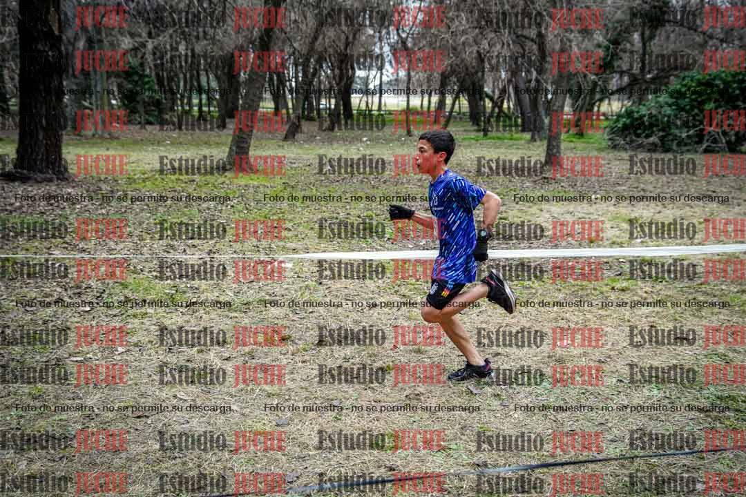 Fotos en el circuito