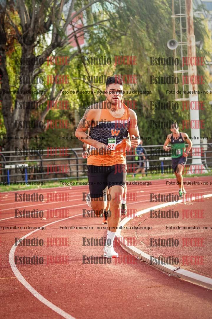 Fotos de los 3000 m llanos de varones