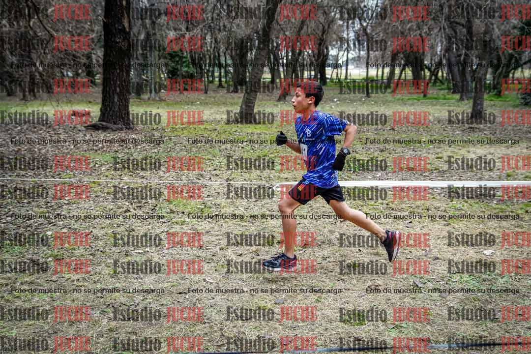 Fotos en el circuito