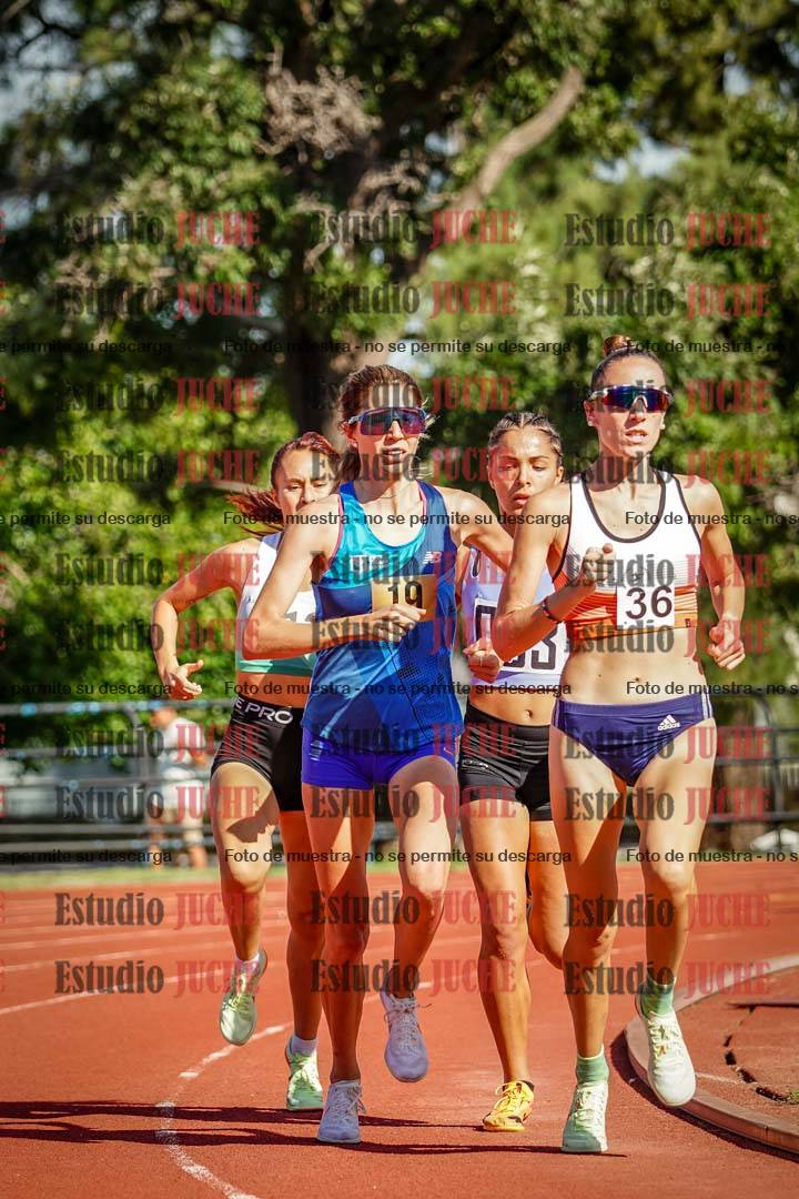 Fotos de los 1500 m llanos de mujeres