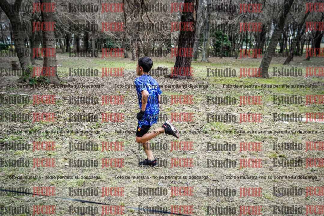 Fotos en el circuito