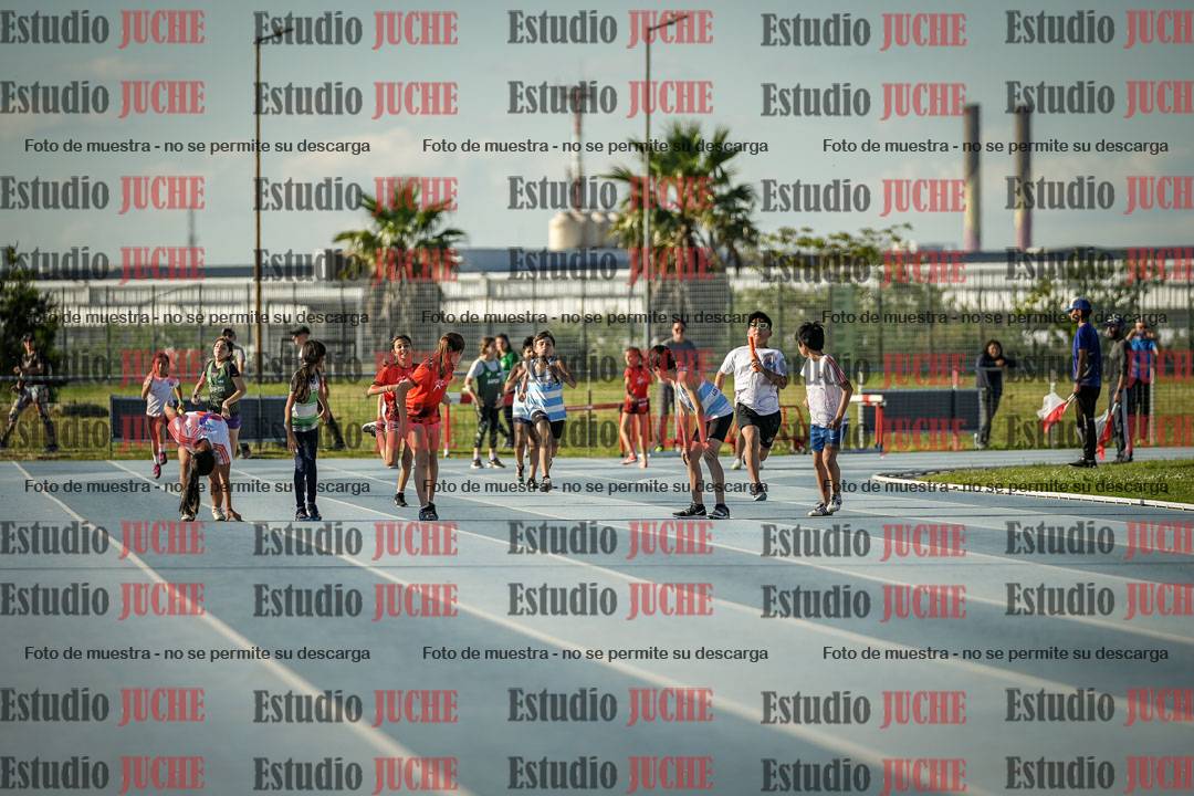 Fotos de las Postas 4x50 m de mujeres y varones