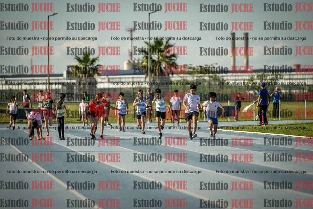 Fotos de las Postas 4x50 m de mujeres y varones