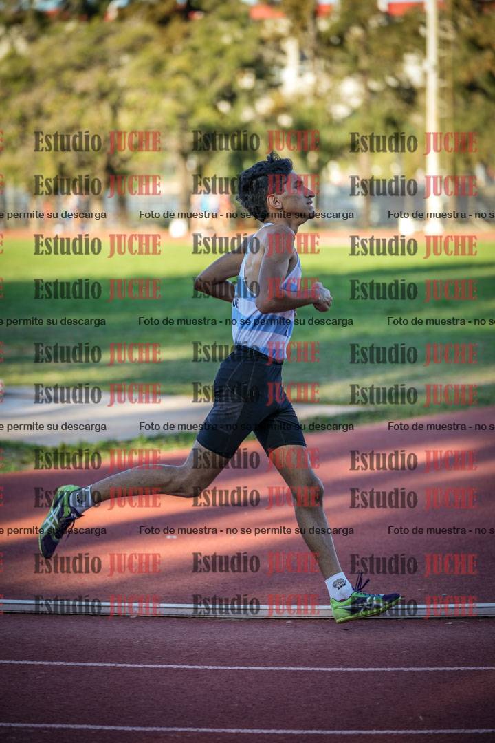 Fotos de los 3000 m llanos de varones