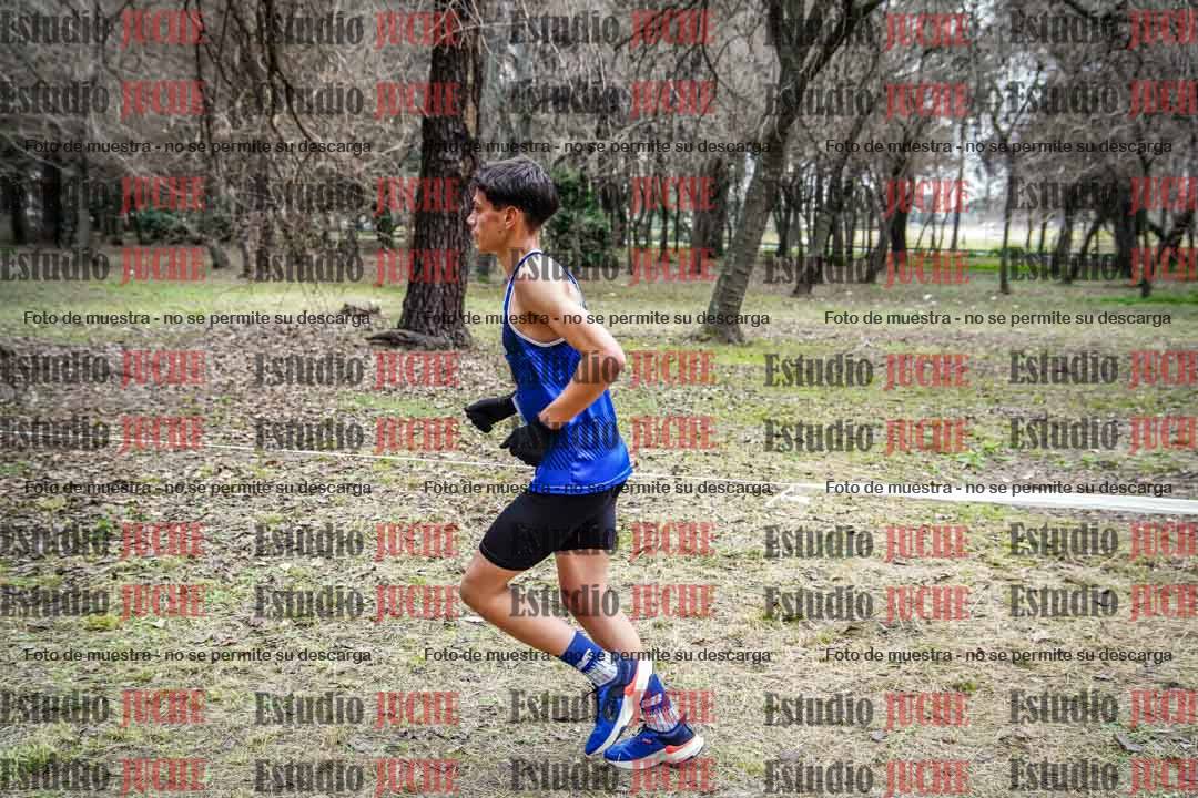 Fotos en el circuito