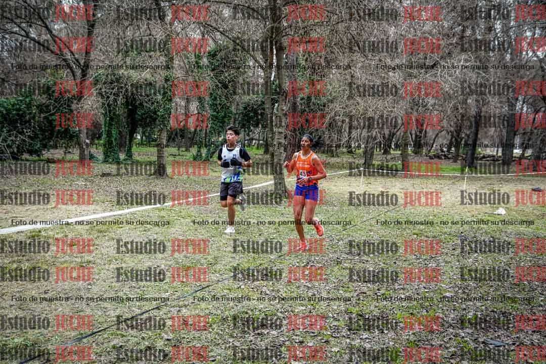 Fotos en el circuito