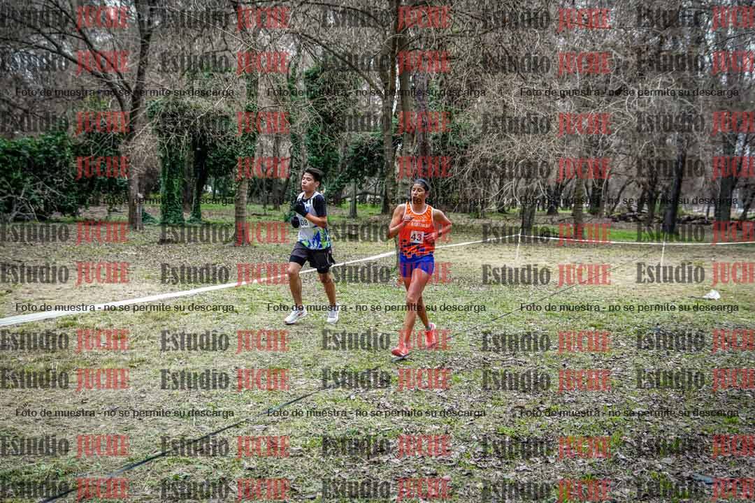 Fotos en el circuito