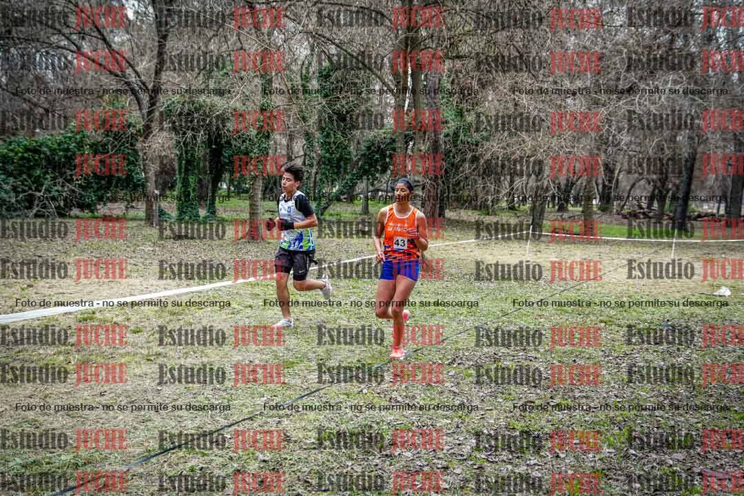 Fotos en el circuito