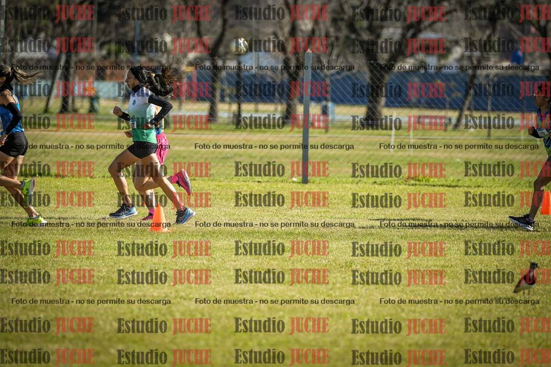 Fotos en de la largada