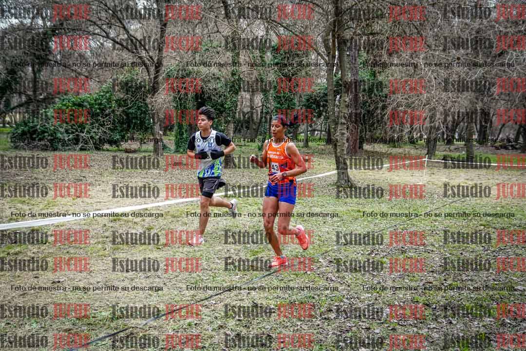 Fotos en el circuito