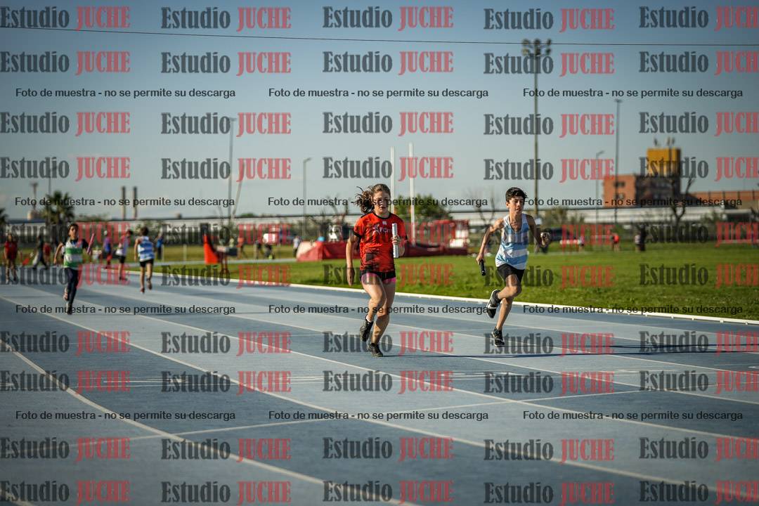 Fotos de las Postas 4x50 m de mujeres y varones