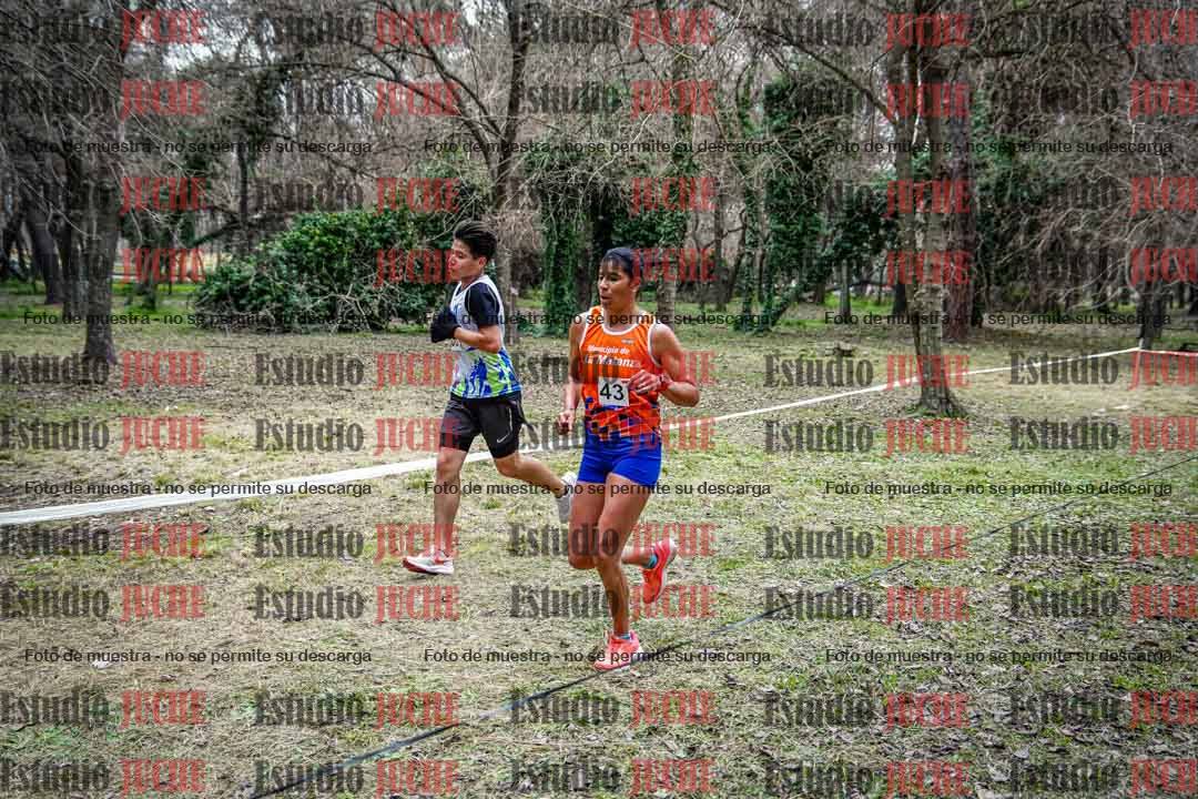 Fotos en el circuito