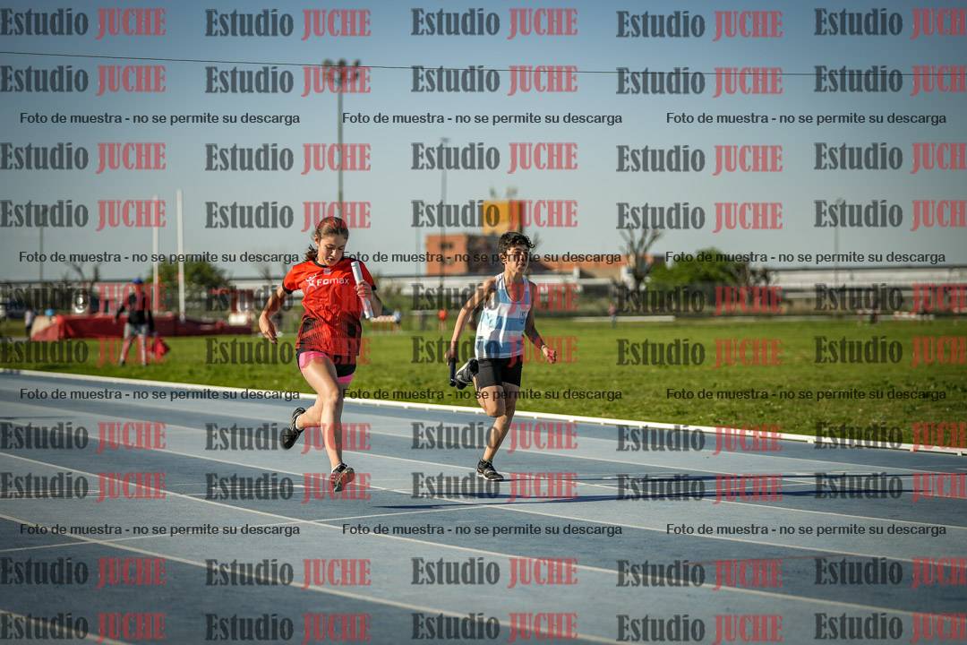 Fotos de las Postas 4x50 m de mujeres y varones