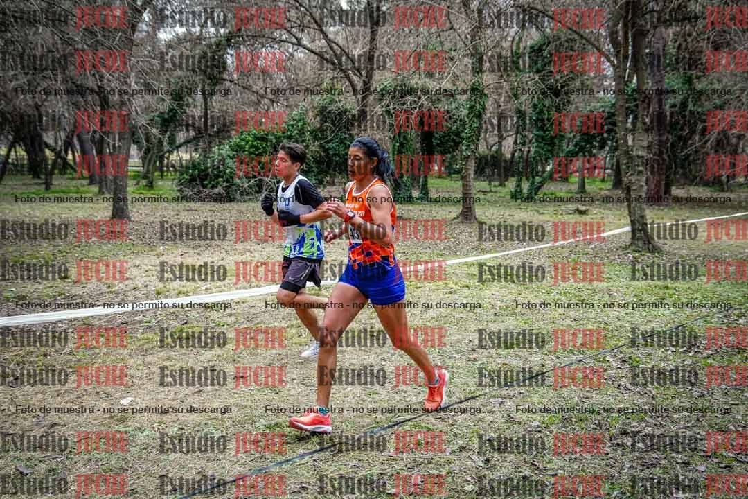 Fotos en el circuito