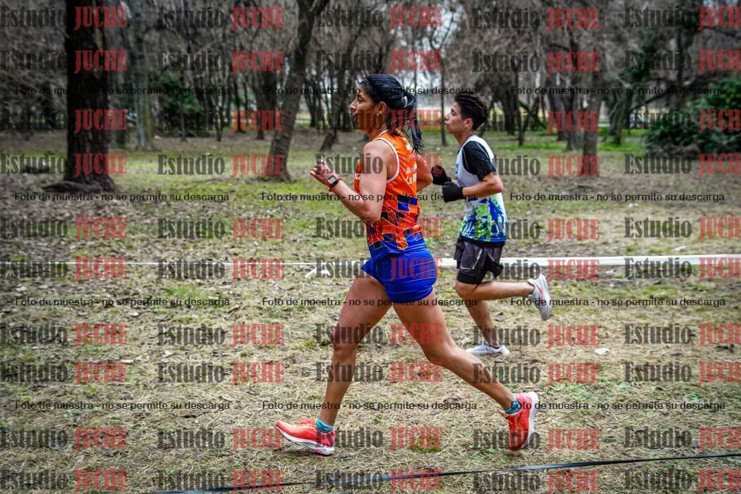 Fotos en el circuito