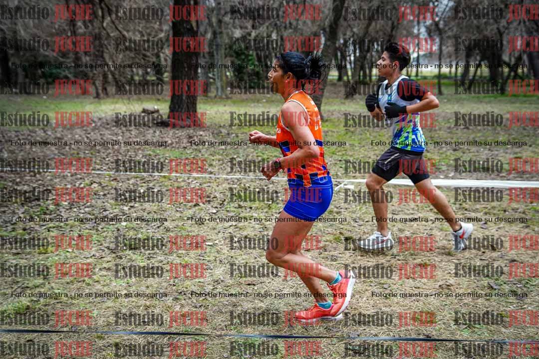Fotos en el circuito