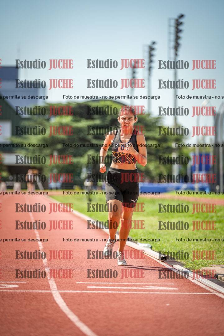 Fotos de los 800 m llanos de mujeres