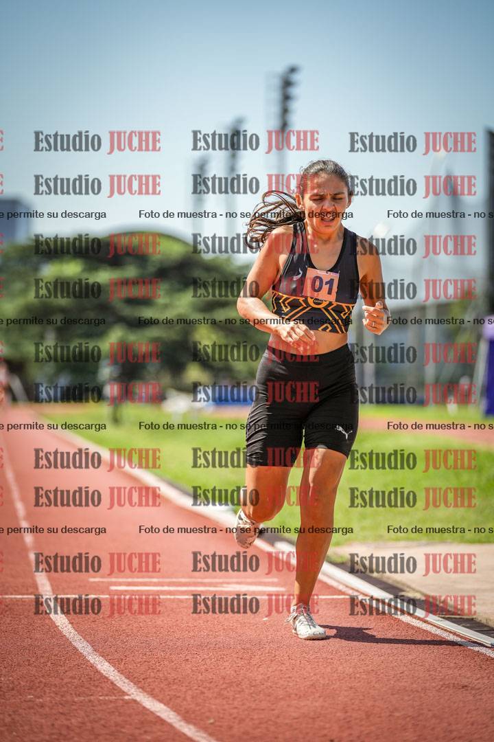 Fotos de los 800 m llanos de mujeres