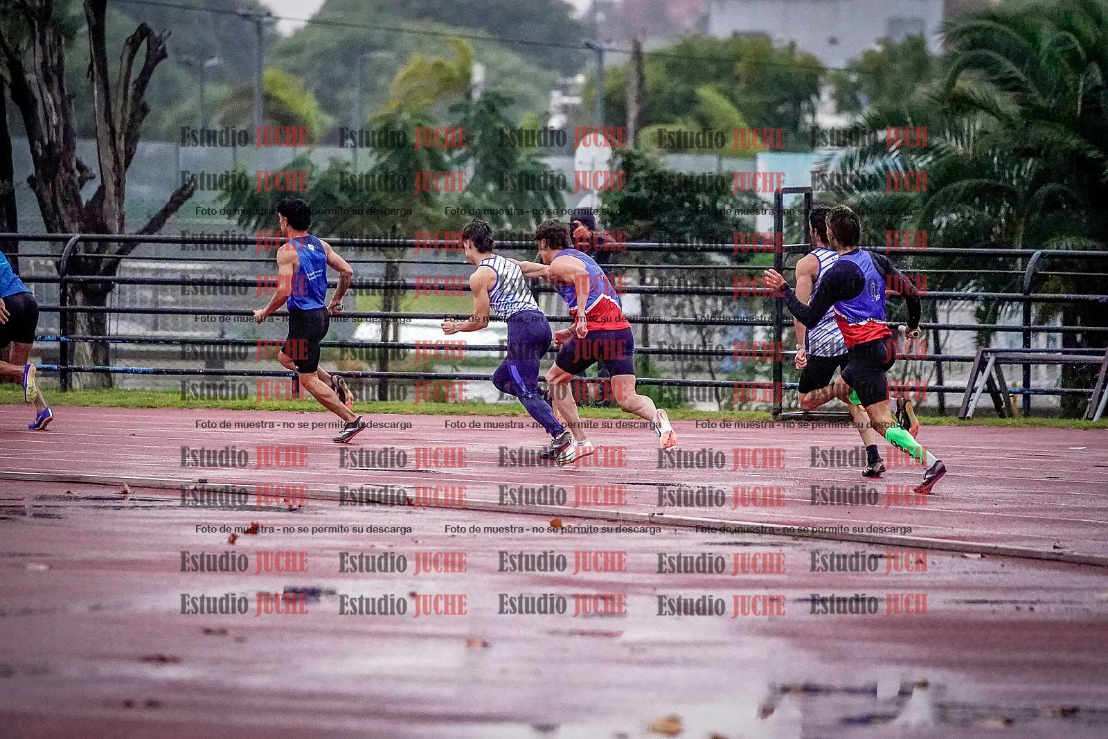 Fotos de las postas 4x100 m de varones