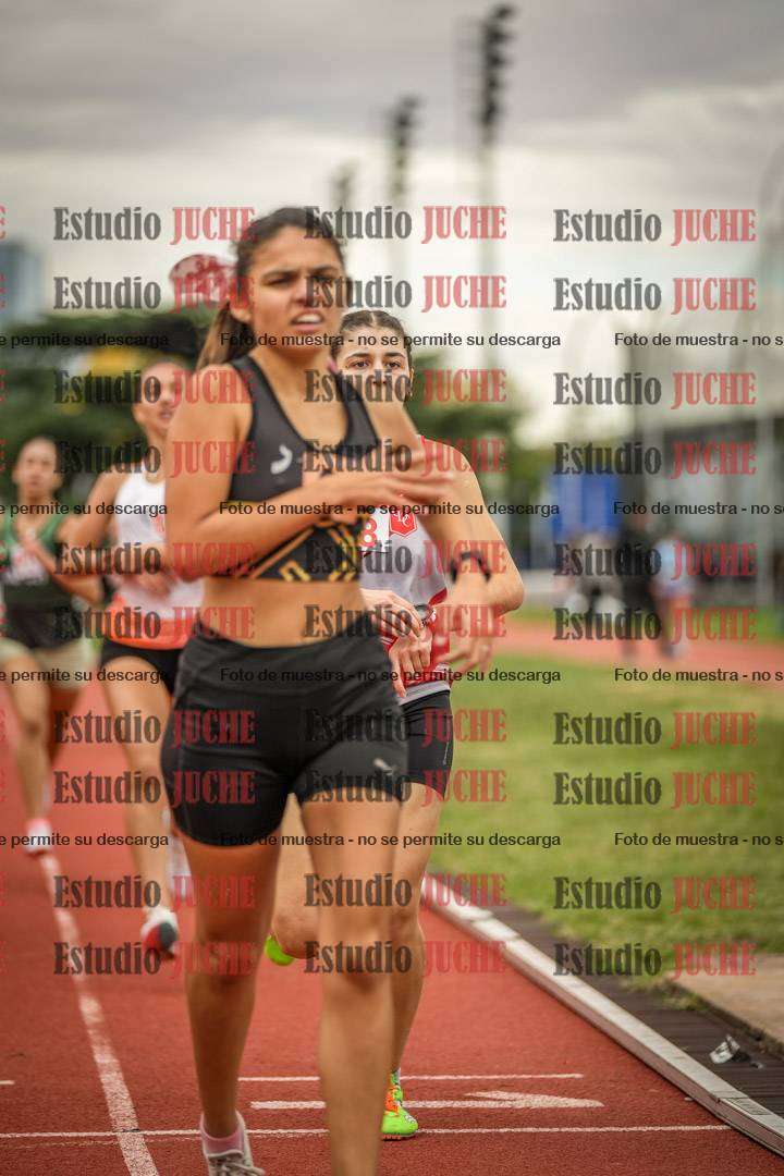 Fotos de los 1500 m llanos de mujeres