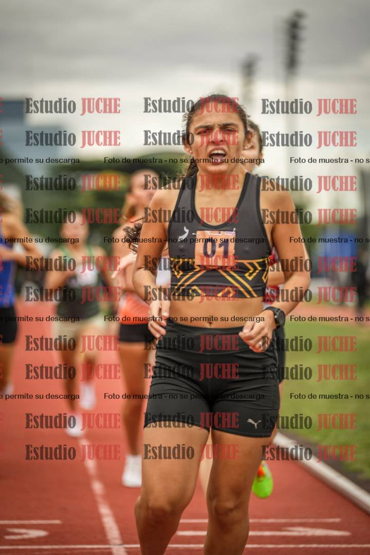 Fotos de los 1500 m llanos de mujeres