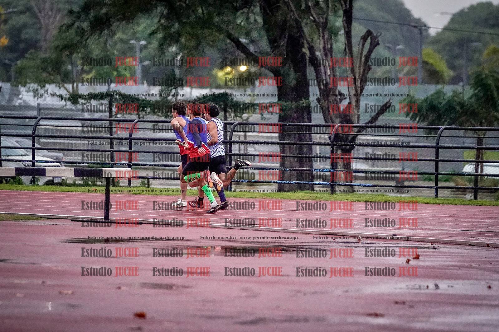 Fotos de las postas 4x100 m de varones