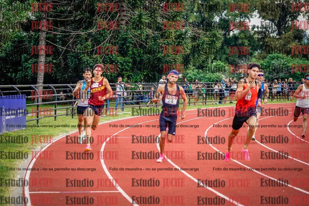 Fotos de los 800 m de varones