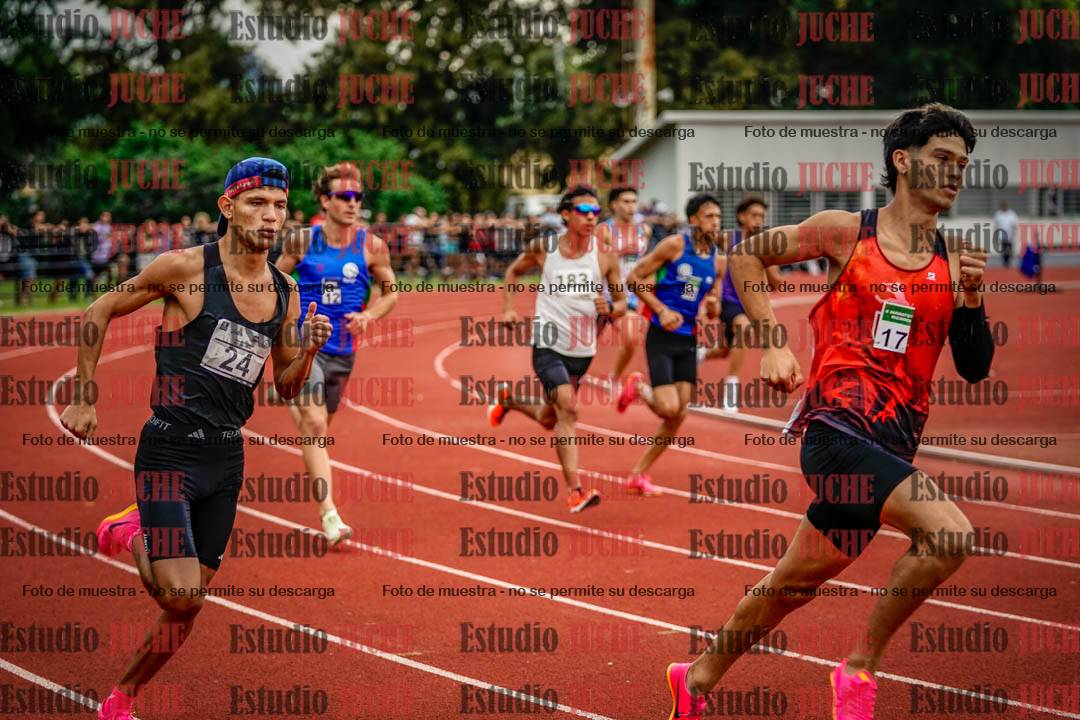 Fotos de los 800 m de varones