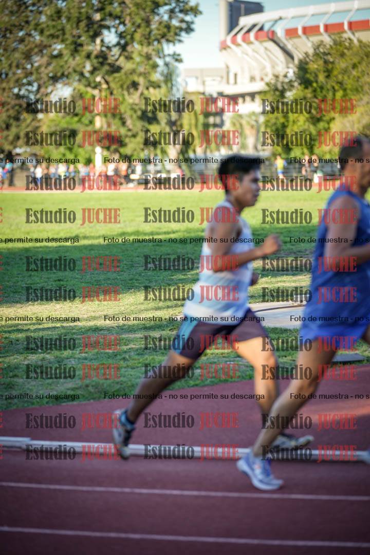 Fotos de los 3000 m llanos de varones