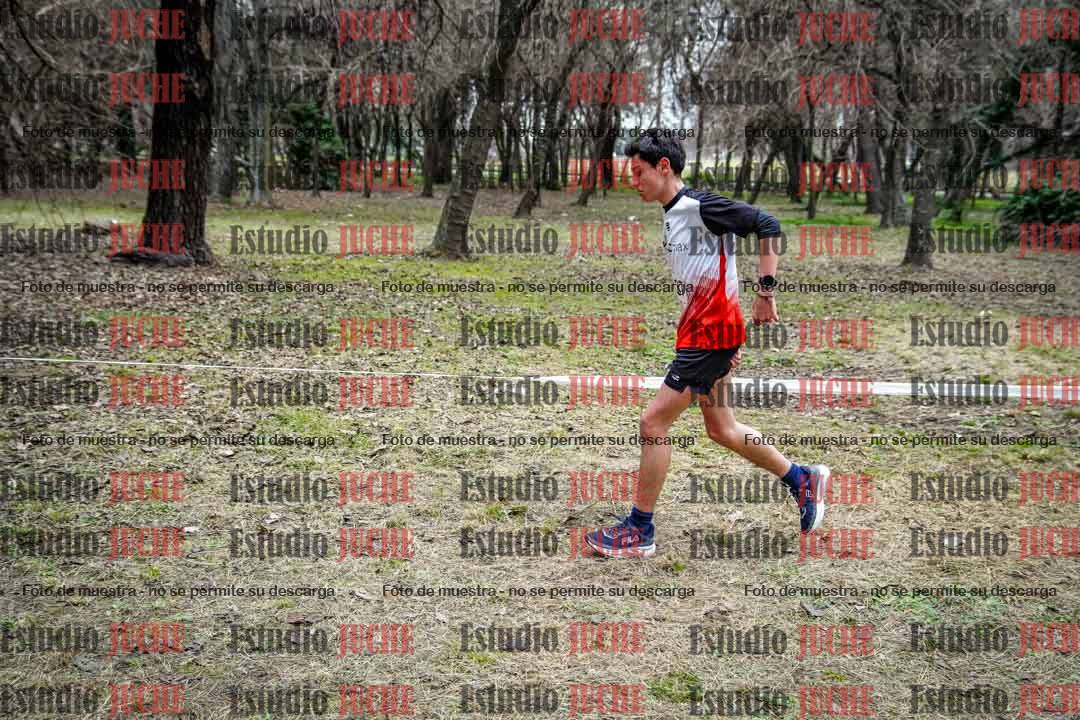 Fotos en el circuito