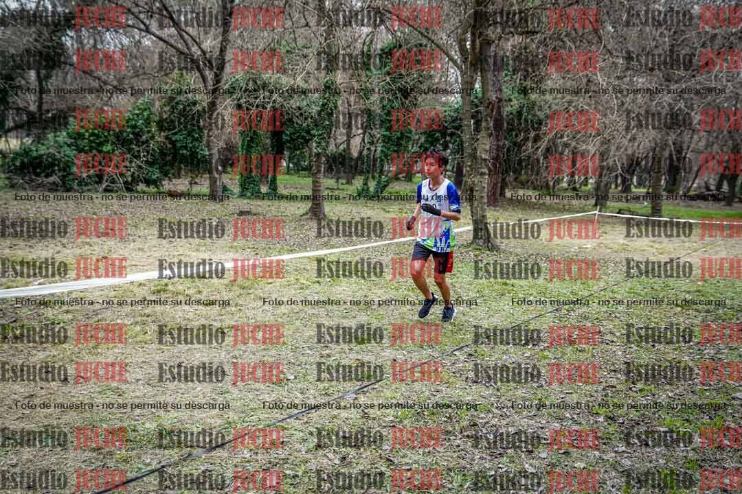 Fotos en el circuito