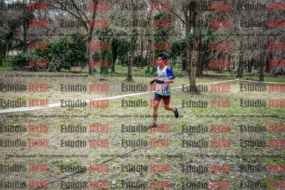 Fotos en el circuito
