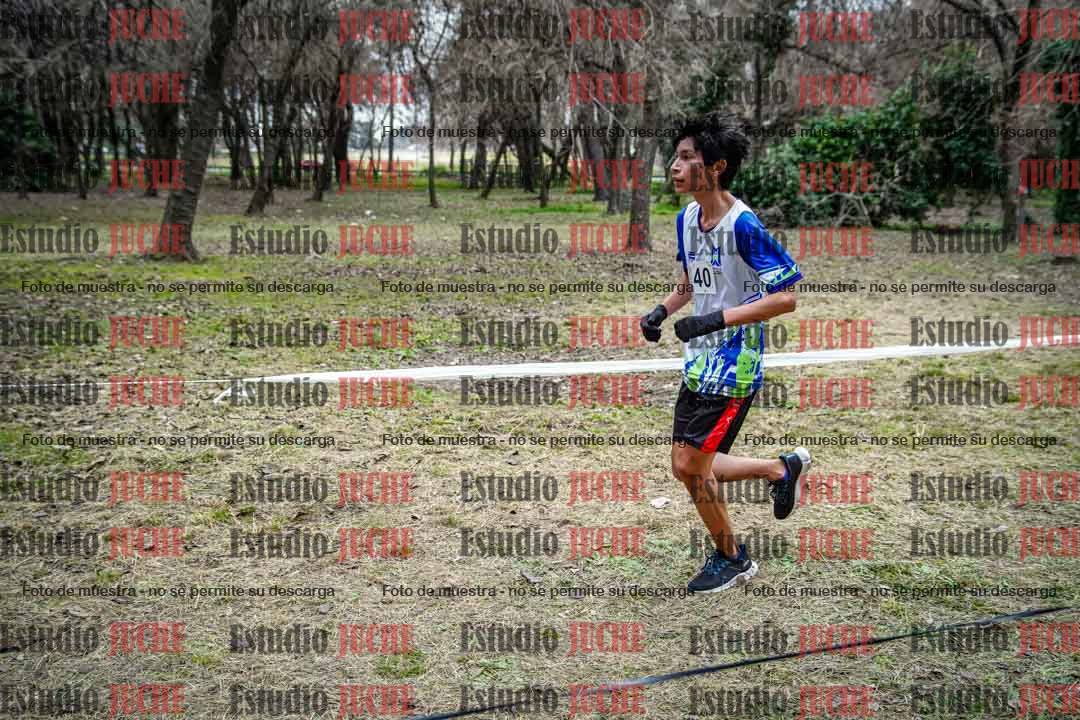 Fotos en el circuito