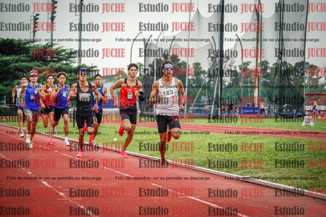 Fotos de los 800 m de varones