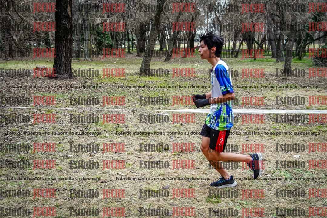 Fotos en el circuito