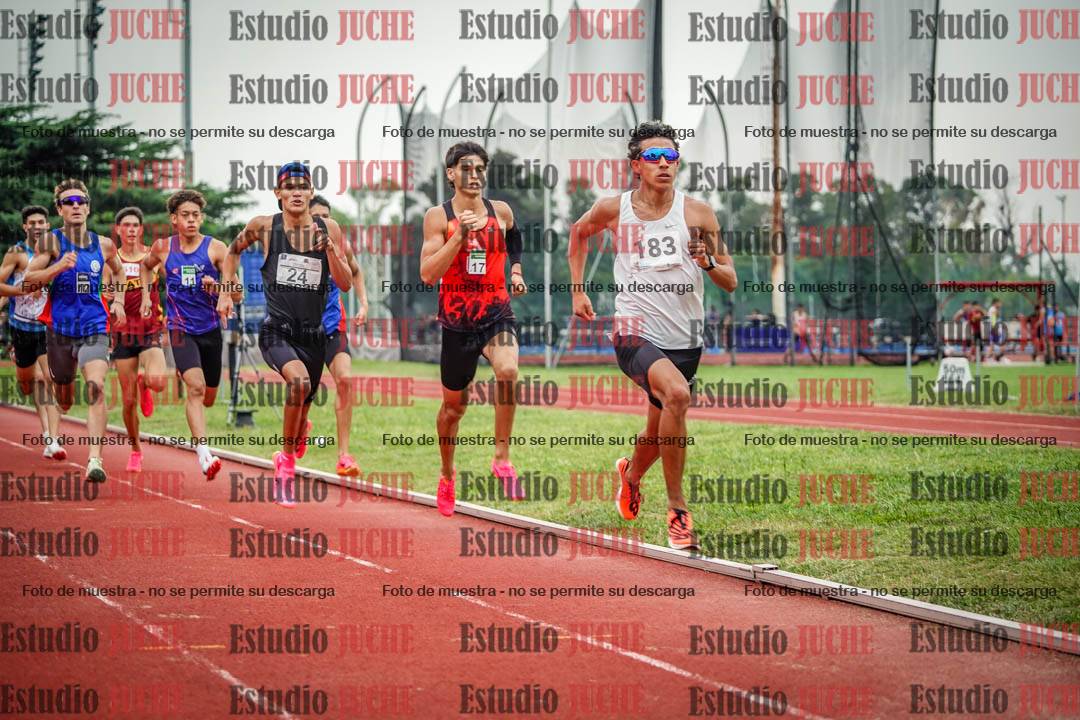 Fotos de los 800 m de varones