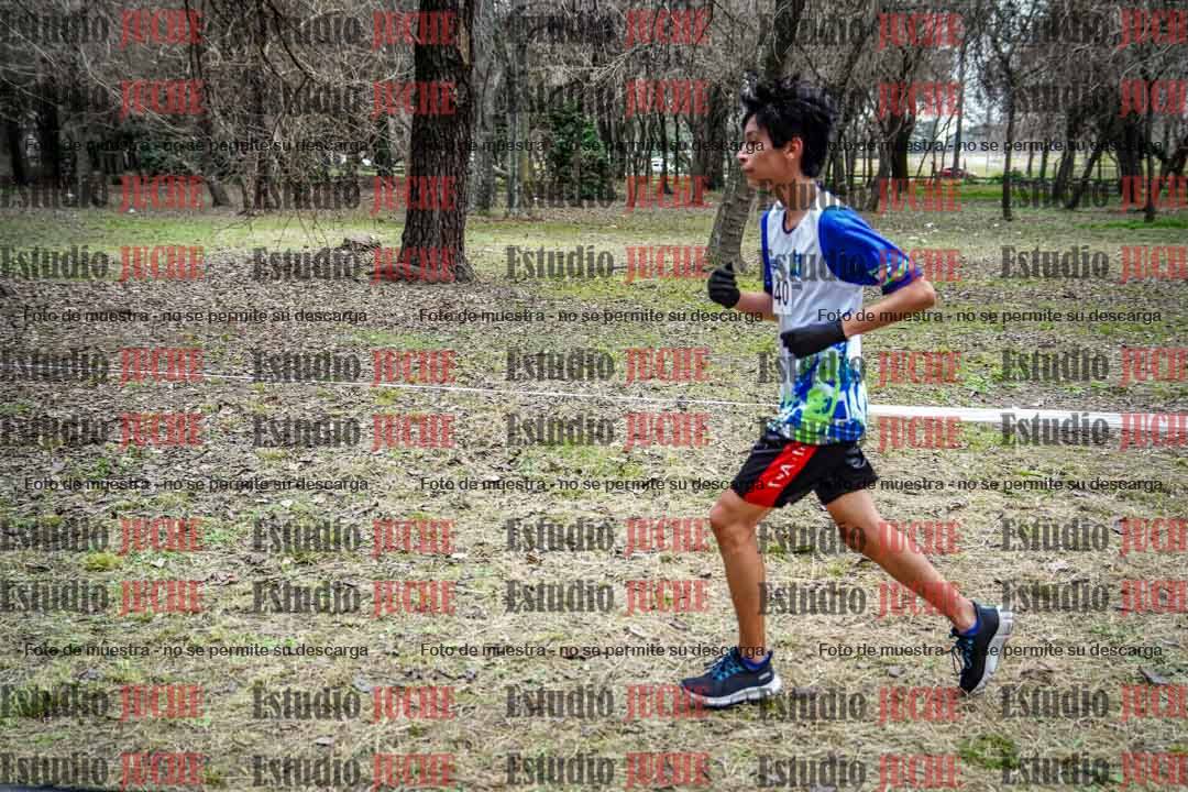 Fotos en el circuito