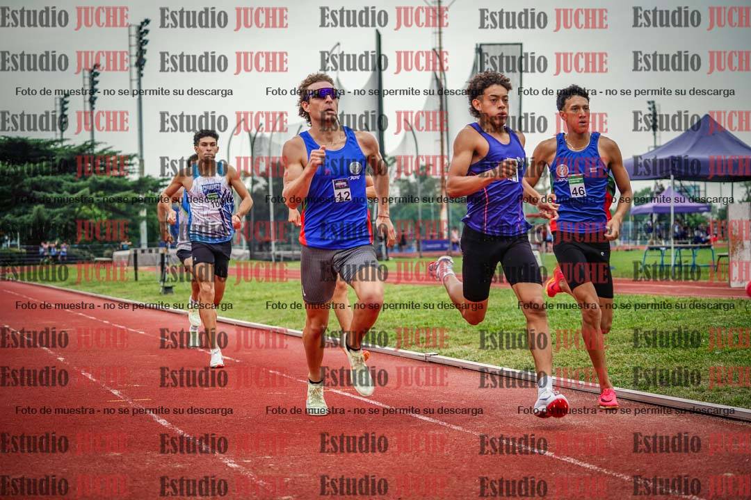 Fotos de los 800 m de varones
