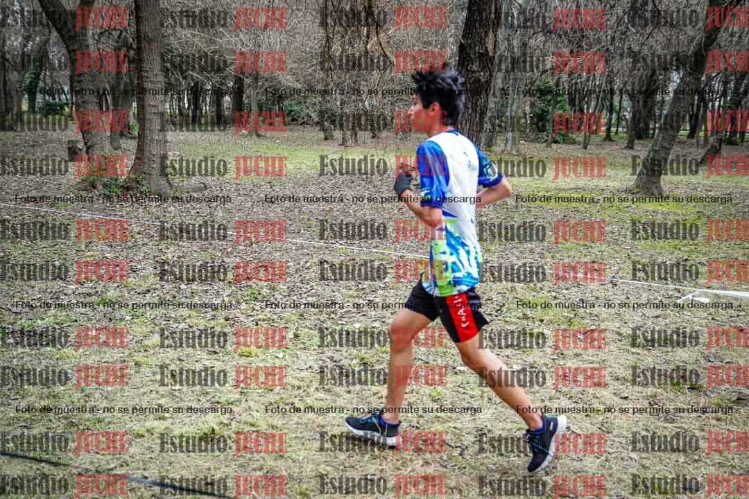 Fotos en el circuito
