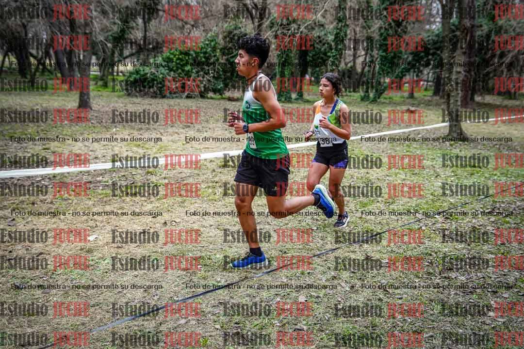 Fotos en el circuito