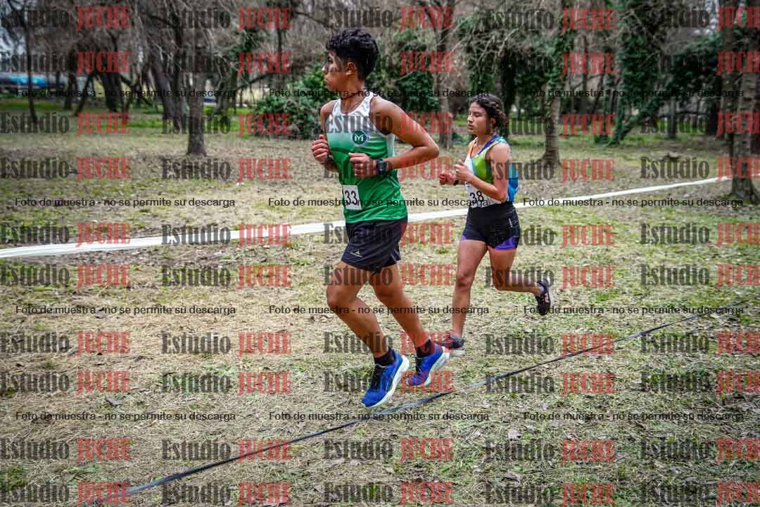 Fotos en el circuito
