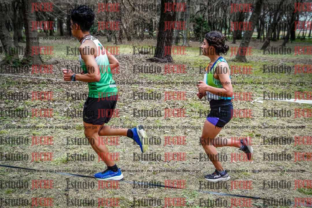 Fotos en el circuito