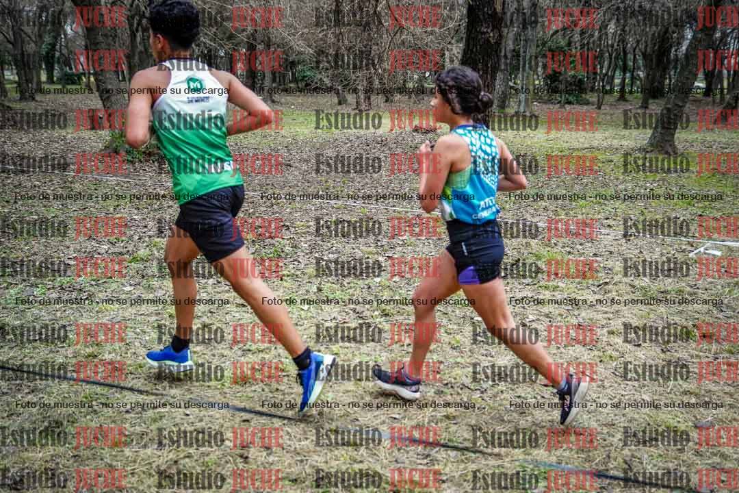 Fotos en el circuito