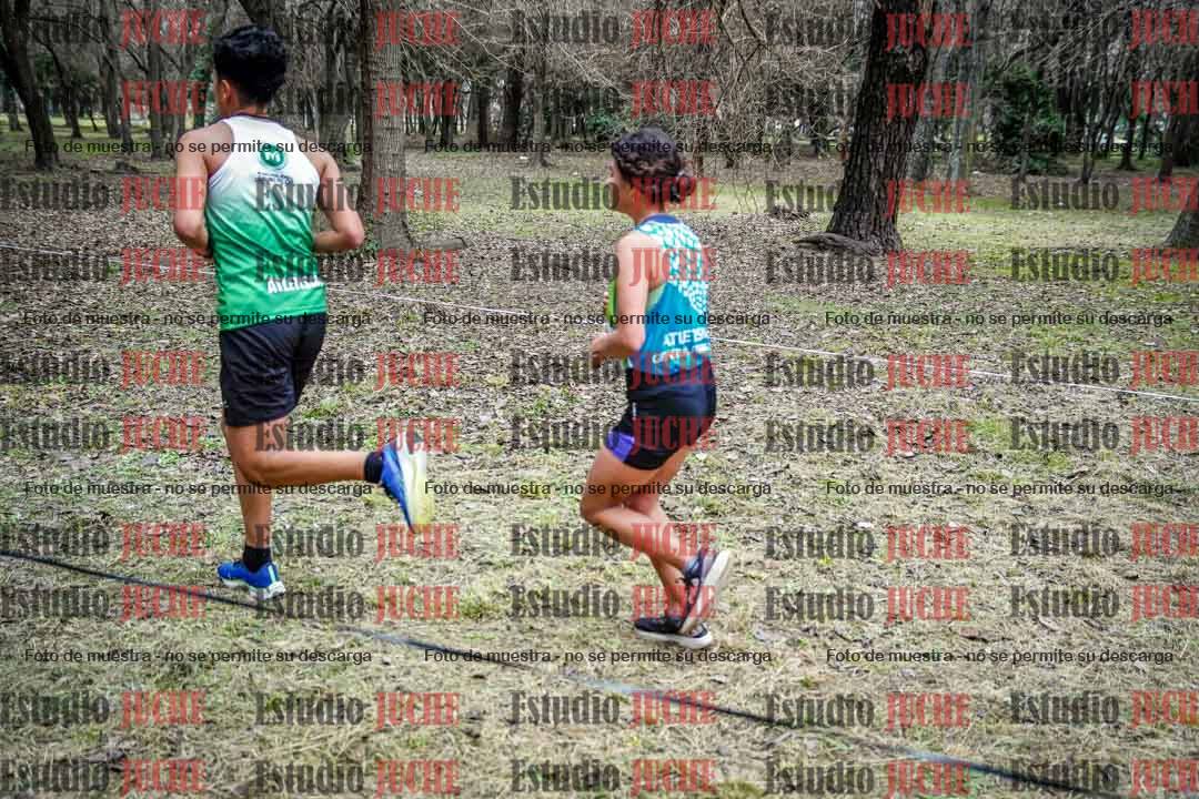 Fotos en el circuito