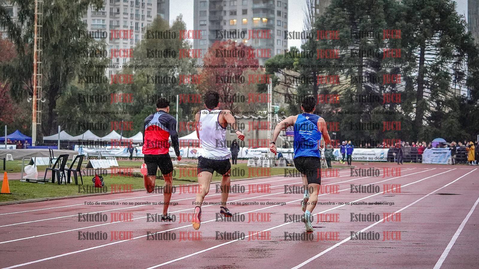 Fotos de las postas 4x100 m de varones